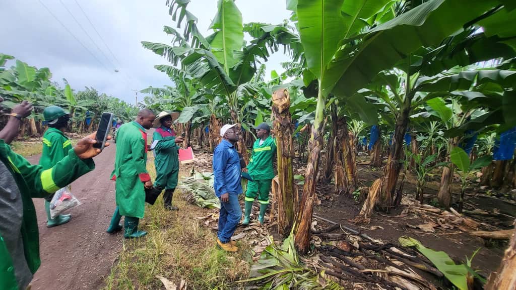 Community volunteering