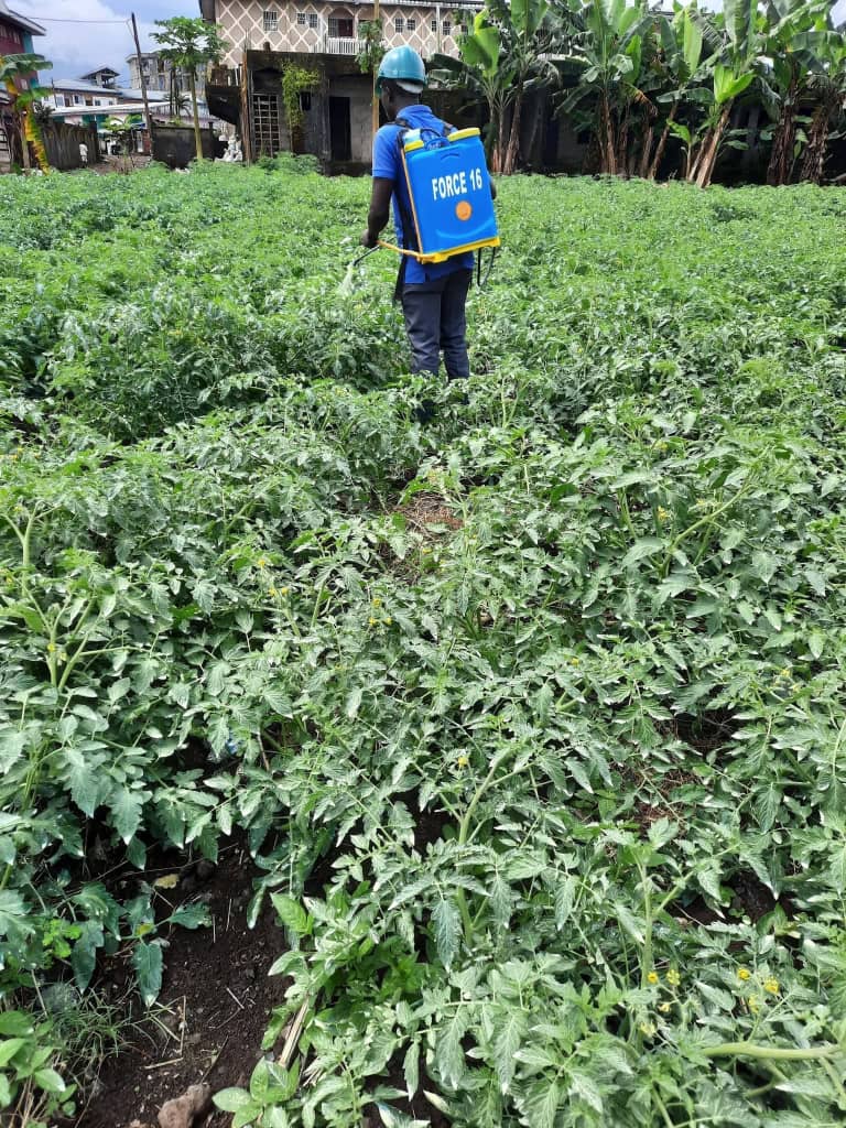 Community volunteering 3