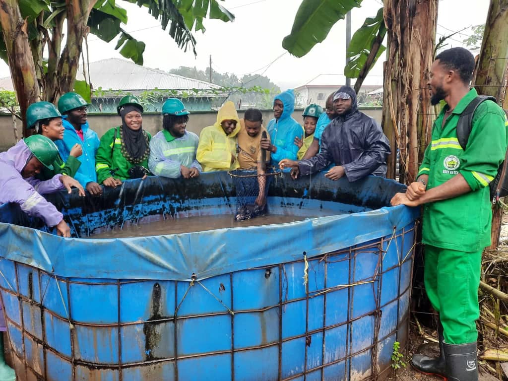 Training workshop session