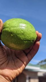 Community engagement